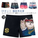 ジム ハーフスパッツ 水泳パンツ スイミングパンツ キッズ 大人 スイムウェア トレーニング スイミング 大きいサイズ UVカット 競泳用水着 競泳水着 スイミ...