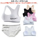 スポーツブラ キッズ 肌着 ガールズ 女の子 ブラ ショーツ ハーフブラ 上下セット レディース タンクトップ パンツ キャミソール セットアップ 子ども 下着...