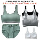 2組セット パンツ リブ レディース ジュニアブラ ガールズ キッズ 上下セット ジュニア下着セット ショーツ パッド付き カップ付き 大人 女の子 綿 コット...