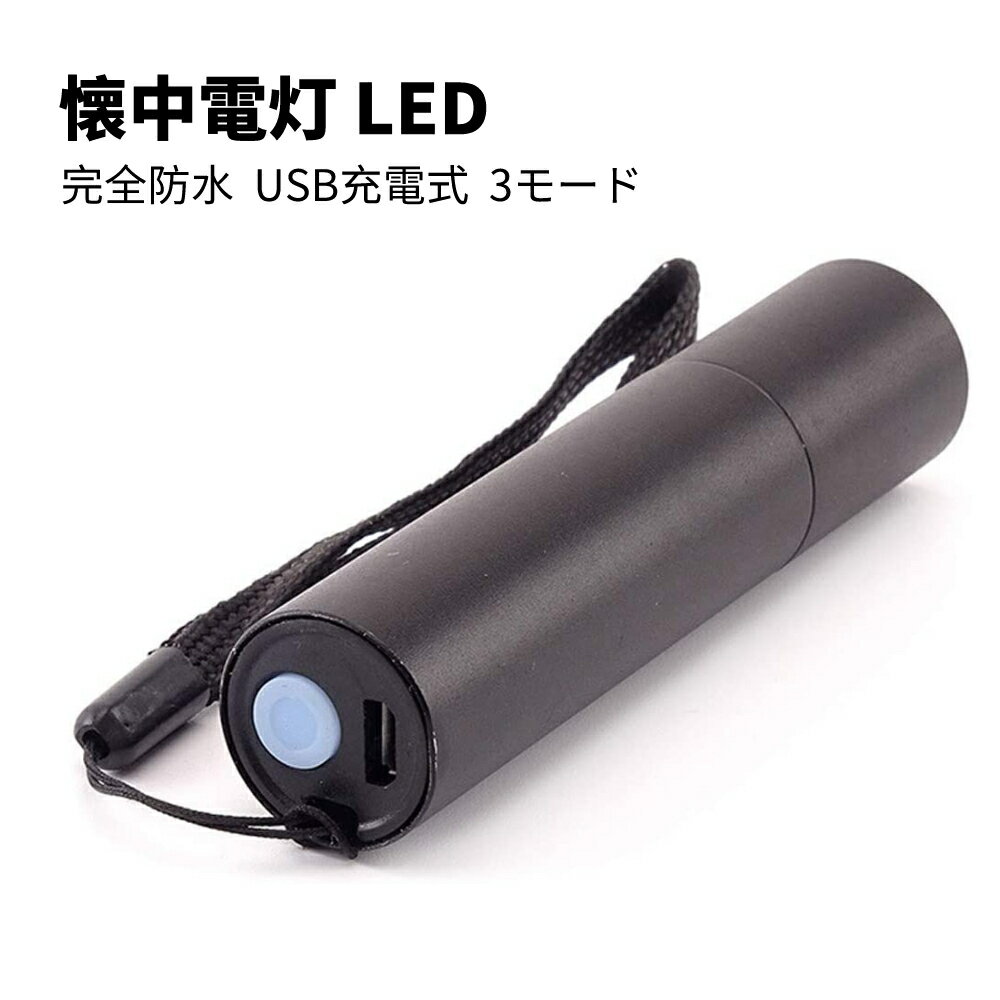 懐中電灯 led 小型 ミニライト キーライト 携帯ライト 
