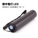 【お買い物マラソンP最大46倍】懐中電灯 led 小型 ミニ