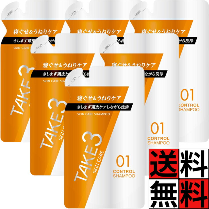 テイクスリー コントロール シャンプー スキンケア 詰め替え やさしく保湿 乾燥肌 メンズ 男 TAKE3 頭皮 ヘアケア 洗浄 寝ぐせ うねり 320mL ×6個