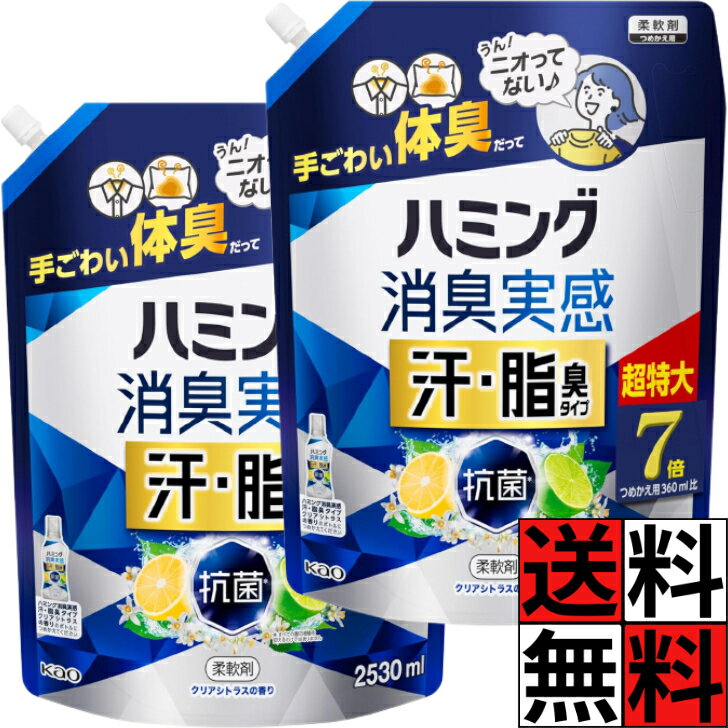 ハミング 消臭実感 柔軟剤 詰め替え 大容量 洗濯 汚れ きれい 清潔 体臭 超特大 部屋干し スポーツ 加齢臭 服 花粉 シワ 消臭 タオル 汗 脂臭 タイプ シトラスの香り 7倍 2530ml ×2個
