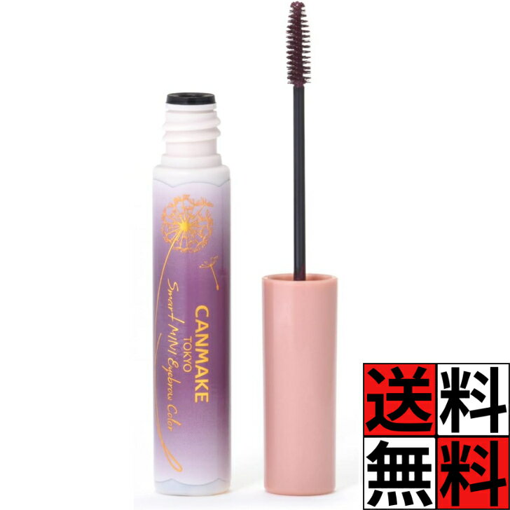 キャンメイク マスカラ スマートミニアイブロウカラー N02 おしゃれ パープル カラー眉 極細 ブラシ ウォータープルーフ お湯オフ メイク 化粧品 血色感 ナチュラル 発色