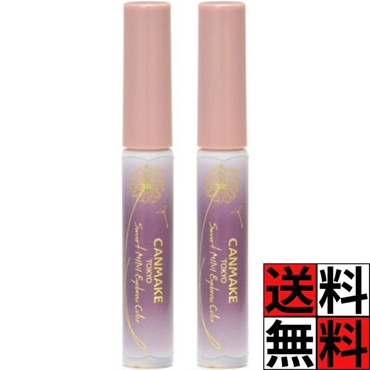 キャンメイク マスカラ スマートミニアイブロウカラー N02 おしゃれ パープル カラー眉 極細 ブラシ ウォータープルーフ お湯オフ メイク 化粧品 血色感 ナチュラル 発色 ×2個