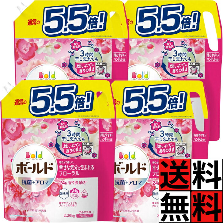 ボールド 液体 詰め替え 洗剤 部屋干し 洗濯 大容量 特大 抗菌 アロマ 香り 新改良 長続き 華 ...