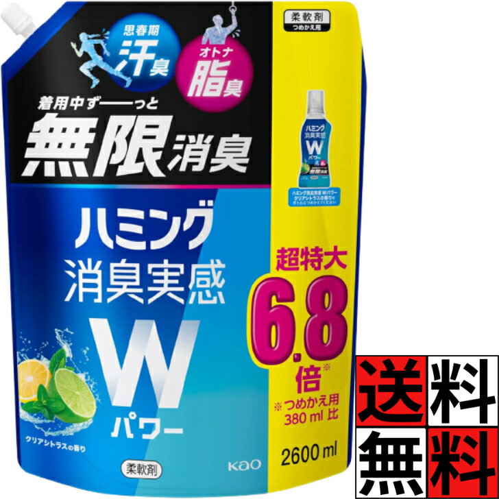 ハミング 消臭実感 Wパワー 柔軟剤 詰め替え 大容量 特大 部屋干し 花粉 洗濯 爽やか 清潔感 液体 汗 脂 大人 思春期 加齢臭 ワキ 体臭 花王 ブルー 青 クリアシトラス 香り 2600ml