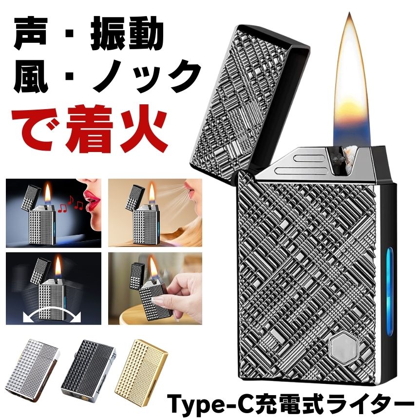 電子ライター usbライター 電子 ライター 電気 Type-C オイルライター 電気ライター USB 線香 着火マン スマホ 防風 アウトドア オイル タバコ...