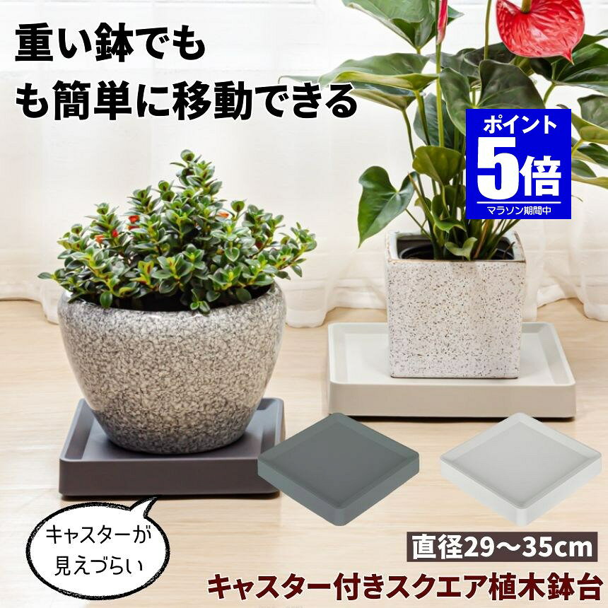 Rakuten - 【今だけ最大20％OFFクーポン】 植木鉢台 植木鉢 プランター 鉢 受け皿 四角 キャスタースタンド フラワー 台 鉢置き台 キャスター プランター用受皿 キャスター付き 鉢受プレート フラワースタンド おしゃれ 観葉植物 フラワーラック プランターラック プランター台 植木