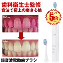 【替えブラシ2本付】 電動歯ブラシ 歯ブラシ 音波歯ブラシ 電動 替えブラシ 歯 音波 本体 電動ブラシ 音波振動歯ブラシ ソニックウォッシュ マイコンフォート...