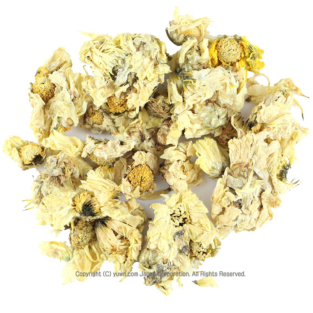 菊花茶 業務用500g 送料