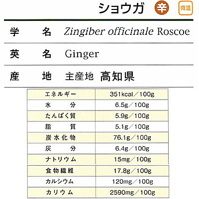 国産生姜粉末 高知県産 業務用 1Kg 乾燥生姜粉末 ショウガパウダー 生姜茶 しょうが茶 スパイス 調味料 香辛料 お茶 送料無料