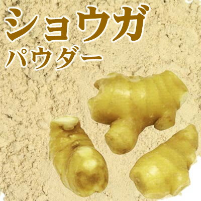 国産生姜粉末 高知県産 業務用5Kg 乾燥ショウガ粉末生姜 乾燥生姜粉末無添加 乾燥しょうが粉末 ジンジャーパウダースパイス しょうがパウダー 生姜湯 香辛料 国産野菜パウダー 送料無料