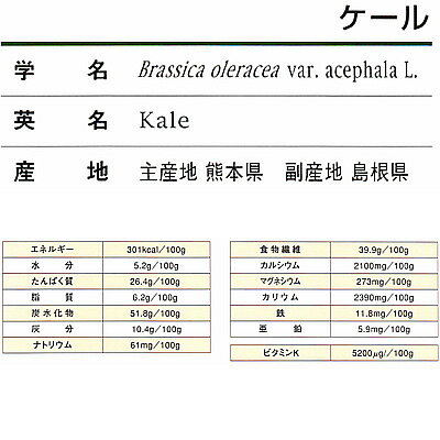 ケールパウダー 国産 業務用10Kg 国産野菜...の紹介画像2