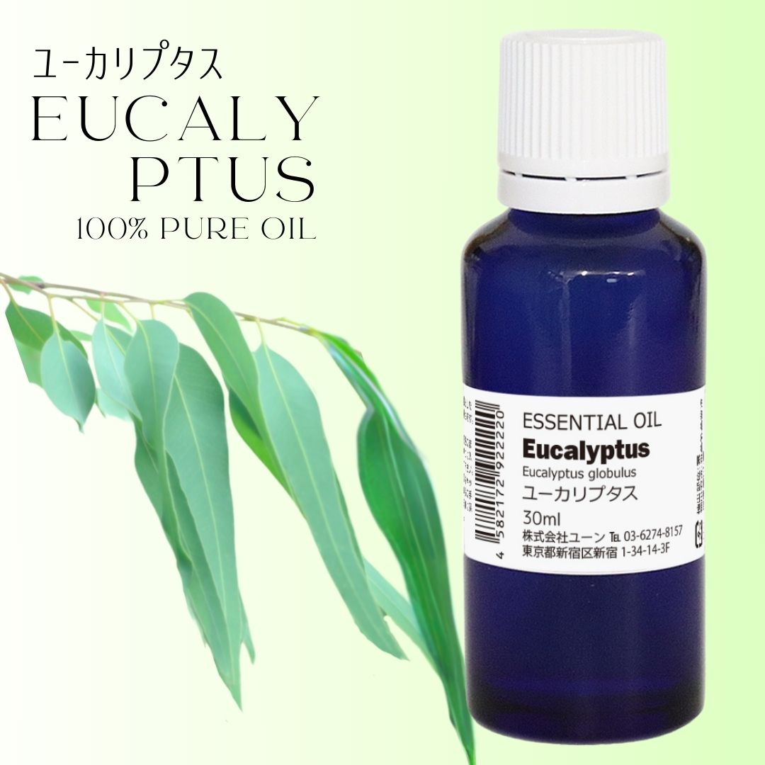 ユーカリオイル ユーカリプタスオイル 30ml 花粉 ユーカリグロブルス アロマオイル エッセンシャルオイル 精油のサムネイル