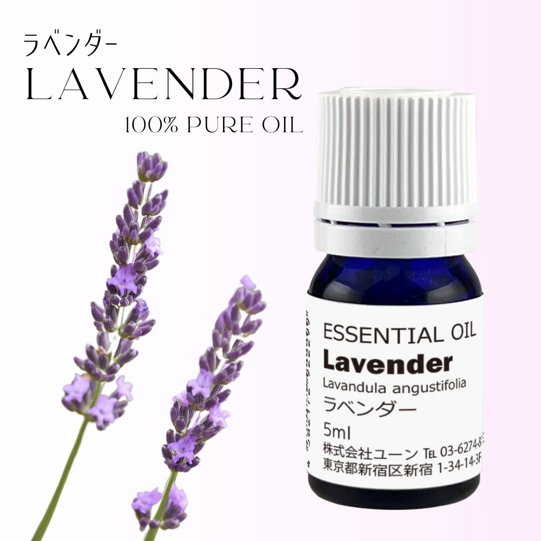 ラベンダーオイル フランス産 5ml ラベンダー精油 アロマオイル エッセンシャルオイル 精油