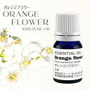 オレンジフラワーオイル 5ml ネロリオイル オレンジブロッサムオイル アロマオイル エッセンシャルオイル 精油