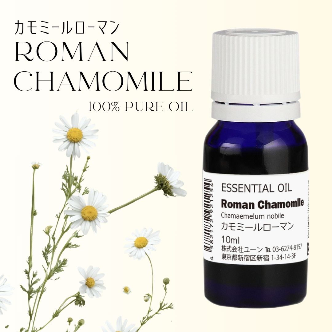 甘くてフルーティーな香り カモミールローマンオイル 10ml カモミール ローマンオイル ローマンカモミールオイル カモミール アロマオイル エッセンシャルオイル 精油 ハーブティー アロマ専門店ユーン