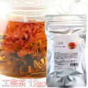 ハウス食品 業務用烏龍茶(水出し・お湯出し共用) 510g(8.5g×60袋)×1箱入×(2ケース)｜ 送料無料 ティーバック 烏龍茶 袋