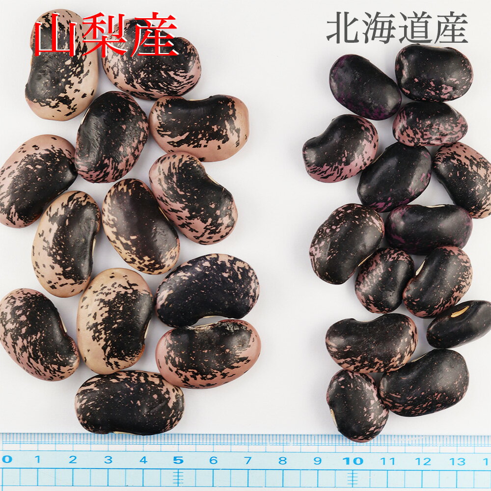 紫花豆 大粒 花豆 200g 国産 山梨県産（むらさきはなまめ）はな豆 乾物豆類 おせち料理などの煮豆、甘煮、甘納豆などお正月お豆 つまみ