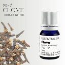 クローブオイル 5ml アロマオイル エッセンシャルオイル 精油