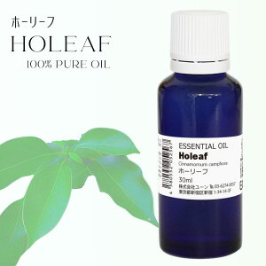 ホーリーフオイル 30ml アロマオイル エッセンシャルオイル 精油 クスノキオイル くすのき油 楠油