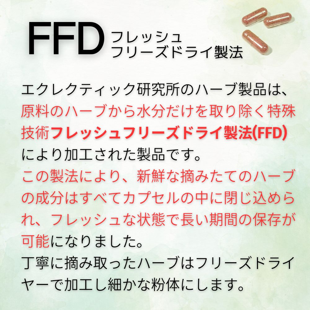 ネトル サプリ FFD 45カプセル エコパック｜ネットル｜イラクサ｜刺草｜花粉｜エクレクティック研究所｜ECLECTIC｜メディカルハーブサプリメント｜ネトル ハーブ｜ネトルサプリメント｜ゆうメール送料無料 3