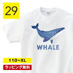 クジラtシャツ クジラ tシャツ 雑貨 グッズ 魚 子供服 tシャツ 海の生物 鯨 メンズ レディース キッズ 半袖 大きいサイズ プレゼント ギフト 夏服 110 120 130 140 150 160 S M L XL shortplate / ショートプレート