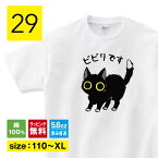 ビビる 猫tシャツ 猫 Tシャツ 長袖 ロンT ねこTシャツ かわいい tシャツ 猫 グッズ 雑貨 ネコ柄 猫柄 服 ねこ柄 シャツ 誕生日 プレゼント 彼女 猫好き かわいい おもしろ 可愛い ねこ 猫 メンズ レディース キッズ 子供服 ペアルック 猫柄 shortplate / ショートプレート