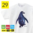 ペンギン Tシャツ ペンギン グッズ 服 マーク 子供服 パジャマ 宇宙 宇宙柄 動物 アニマル バックプリント tシャツ プレゼント かわいい イラスト おし...