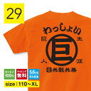 ジャイアンツ Tシャツ キッズ 巨人 野球 コレクション 読売 ジャイアンツ 選手 ファン 応援 グッズ 服 子供服 バックプリント tシャツ プレゼント オレンジ Tシャツ おしゃれ コスプレ おもしろTシャツ メンズ レディース キッズ 子供服 shortplate / ショートプレート