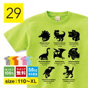 恐竜 Tシャツ 子ども 恐竜tシャツ 子供 服 グッズ 大人 雑貨 パジャマ プテラノドン ティラノサウルス トリケラトプス ブラキオサウルス アンキロサウルス ステゴザウルス 恐竜 柄 生地 110 120 130 140 150 幼稚園 保育園 メンズ キッズ Short plate / ショートプレート