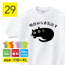猫 tシャツ 明日から本気出す 猫tシャツ 猫柄 tシャツ おもしろ tシャツ 変なtシャツ ねこ Tシャツ かわいい 猫グッズ ネコ柄 服 ねこ柄 シャツ 面...