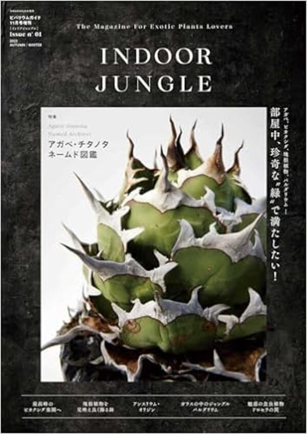 INDOOR JUNGLE　Issue01