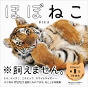 【特典付き】ほぼねこ