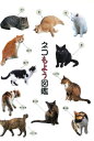 ネコもよう図鑑クリアファイル