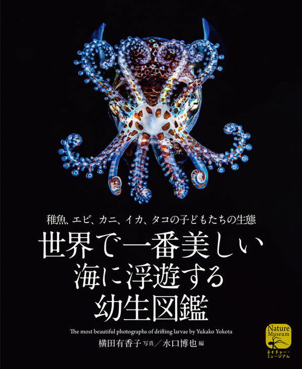 世界で一番美しい 海に浮遊する幼生図鑑　稚魚、エビ、カニ、イカ、タコの子どもたちの生態