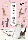 猫じゃらし練習帳