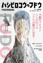 ハシビロコウのフドウ PHOTO BOOK