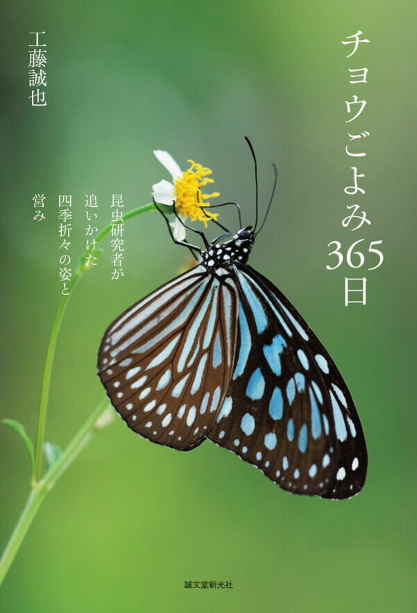 チョウごよみ365日 昆虫研究者が追いかけた四季折々の姿と営み