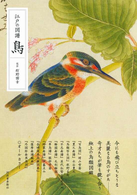 江戸の図譜　鳥