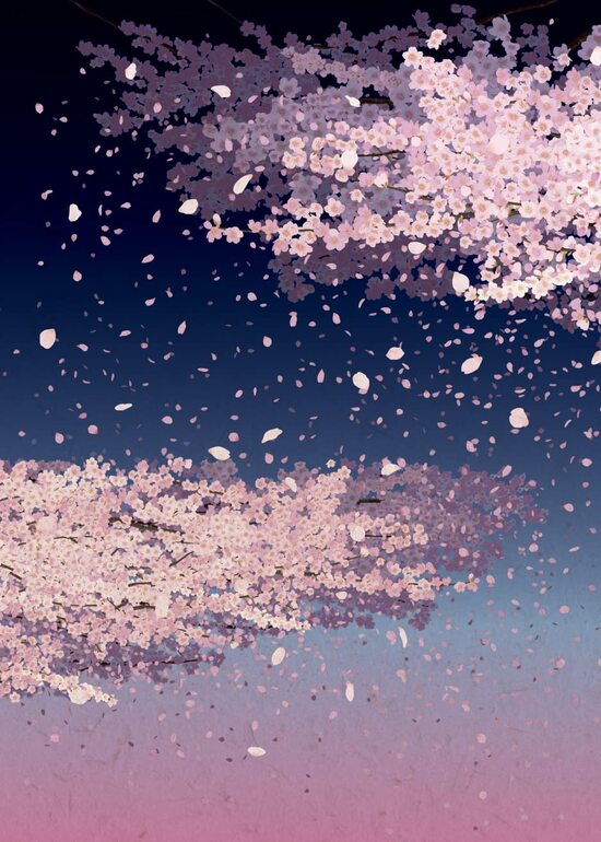 Other - 開運御朱印帳　夜桜（大判）