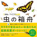 PHOTO ARK 虫の箱舟 絶滅から動物を守る撮影プロジェクト