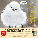 シマエナガと交換日記2 かわいいおこちゃまも仲間入りです