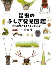 昆虫のふしぎ発見図鑑 近所の虫のすごさコレクション