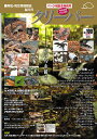 クリーパー100号 爬虫・両生類情報誌