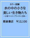 【予約】カラー図解 水の中の小さな美しい生き物たち 小型ベントス・プランクトン百科(07/31頃発送予定)(送料無料)
