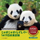 シャオシャオとレイレイの1415日成長記録 毎日パンダのフォトギャラリー