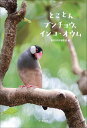 【予約】とことんブンチョウ、インコ・オウム(07/28頃発送予定)