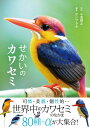 せかいのカワセミ